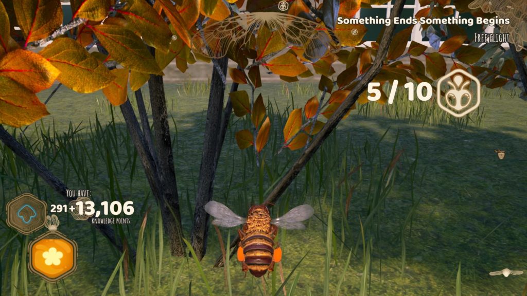 Bee Simulator Trophy Guide Knoef Trophy Guides